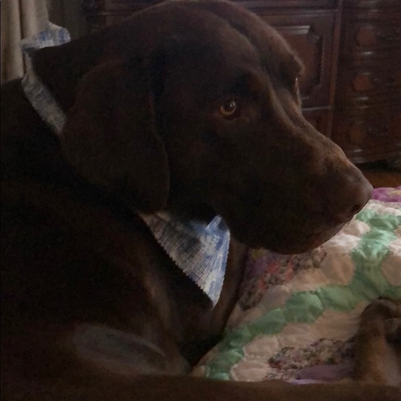 Meet your Posher, Paul - Picture 1 of 1